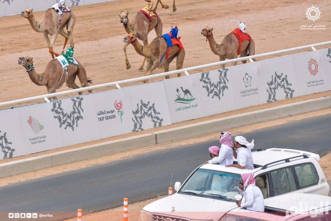 مهرجان ولي العهد للهجن