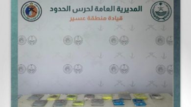 photo ٢٠٢٦ ٠٨ ٢٩ ١٥ ٤٠ ١٢