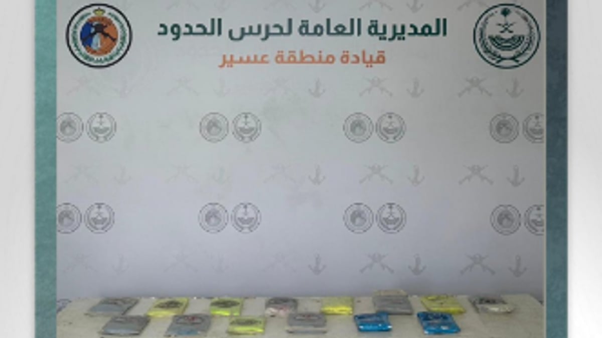 photo ٢٠٢٦ ٠٨ ٢٩ ١٥ ٤٠ ١٢