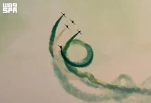 F10838565