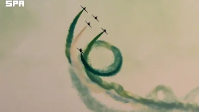 F10838565