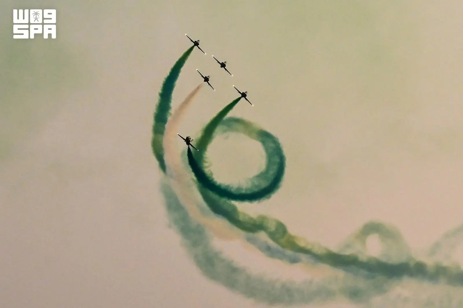F10838565