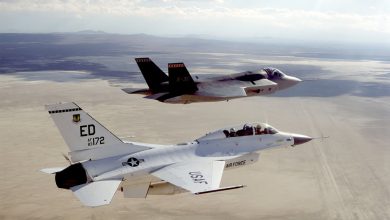F 35 and F 16