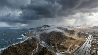magnific create a photorealistic cinematic editorial image 38226